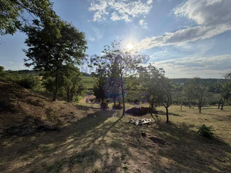 kuca na prodaju Sremski Karlovci 56m2 574603