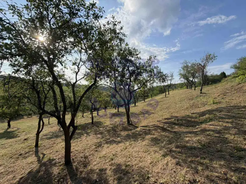 kuca za izdavanje Sremski Karlovci, 56m2 574603