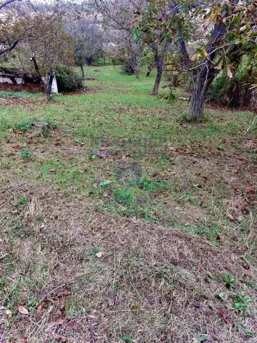 plac na prodaju Petrovaradin, 1790m2 574053
