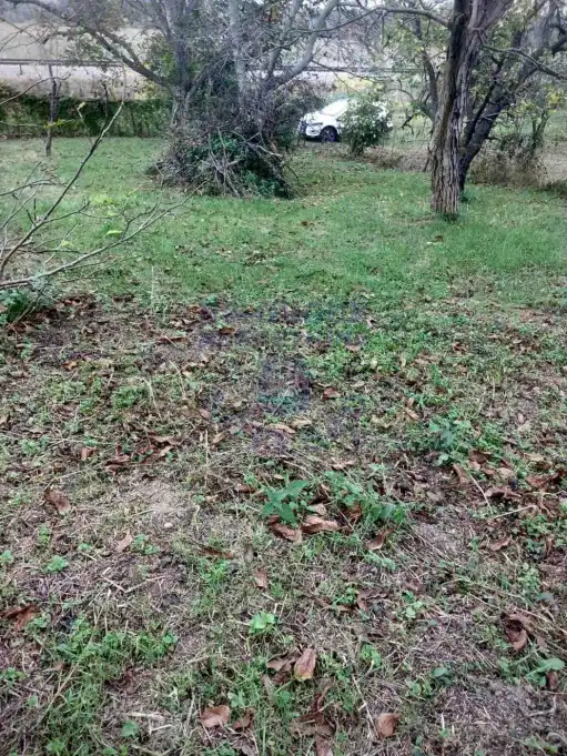 plac na prodaju Petrovaradin 1790m2 574053