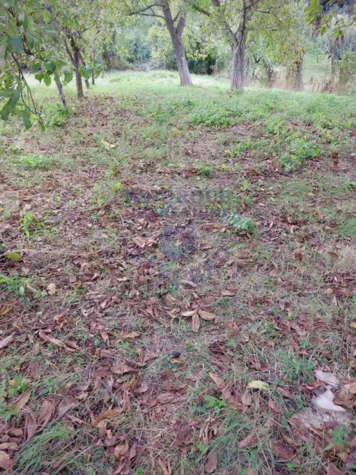 plac na prodaju Petrovaradin 1790m2 574053