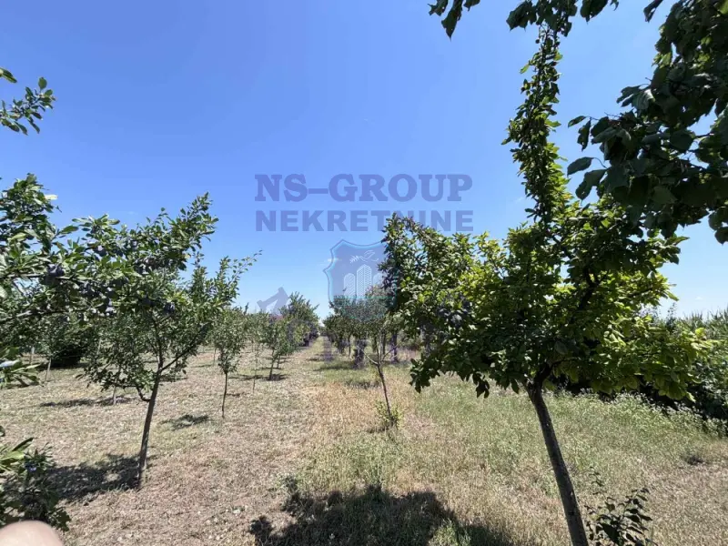 plac na prodaju Bački Jarak 978m2 574642