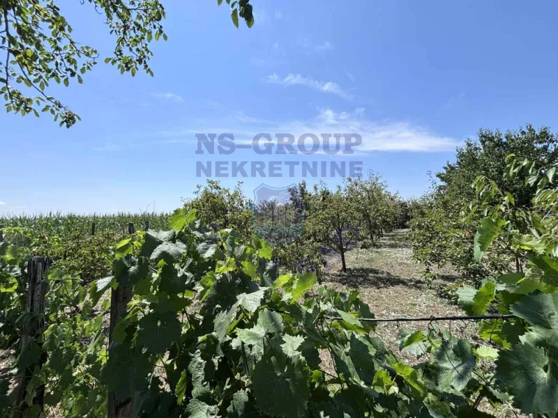 property-card-img-100987