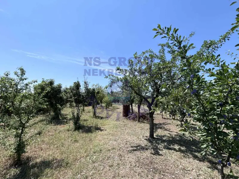 plac na prodaju Bački Jarak 978m2 574642