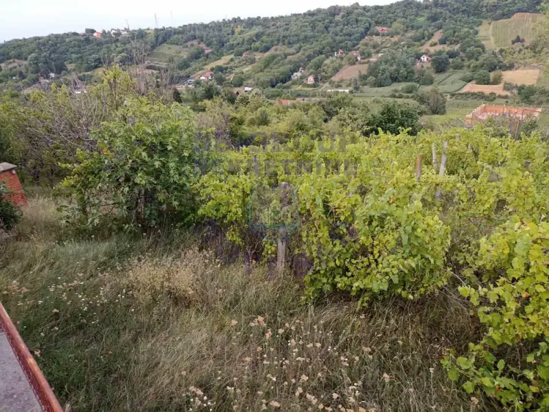 plac na prodaju Sremska Kamenica 2681m2 543264