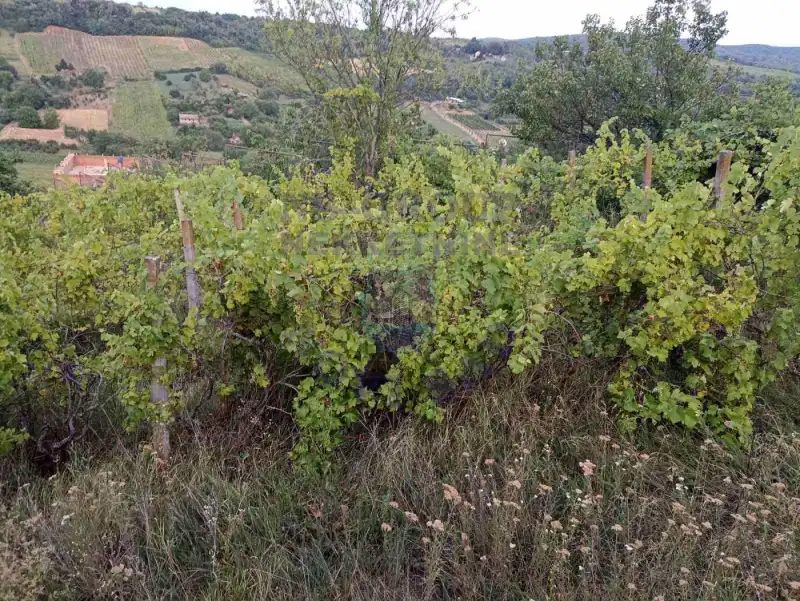 plac na prodaju Sremska Kamenica 2681m2 543264