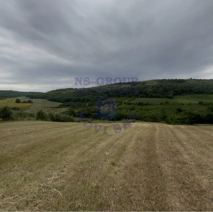 property-card-img-100623