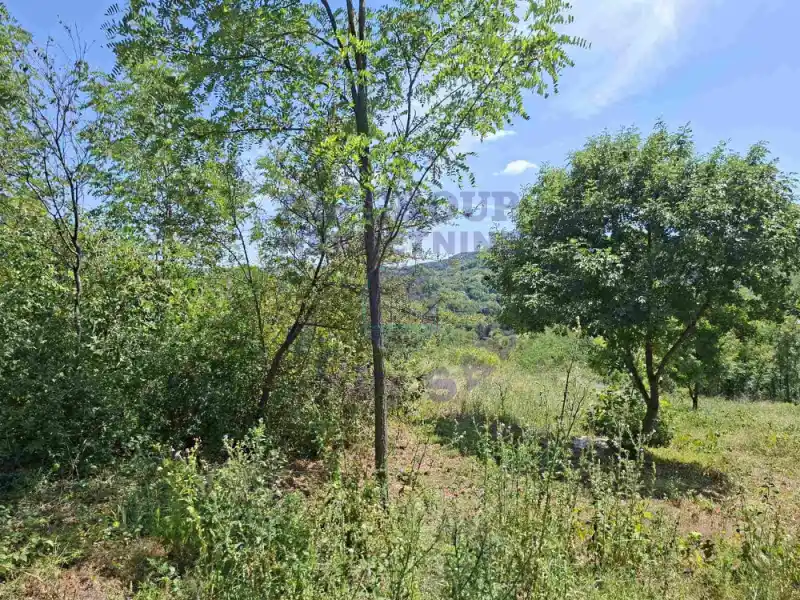 property-card-img-101008