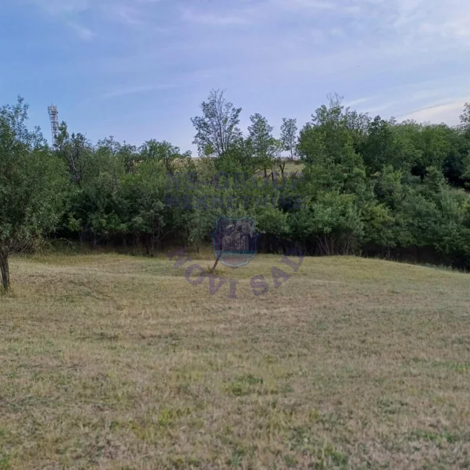 Plac na prodaju Jazak 3910m2, 573681