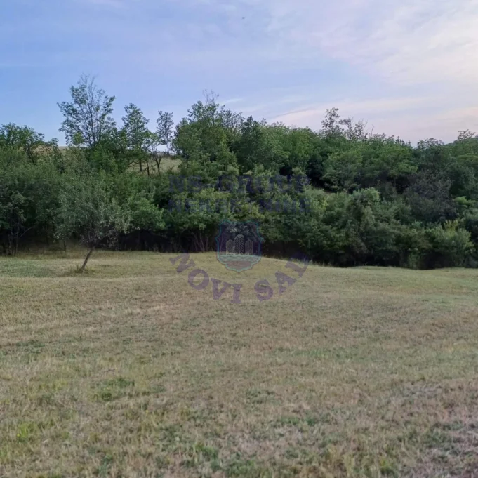 Plac na prodaju Jazak 3910m2, 573681
