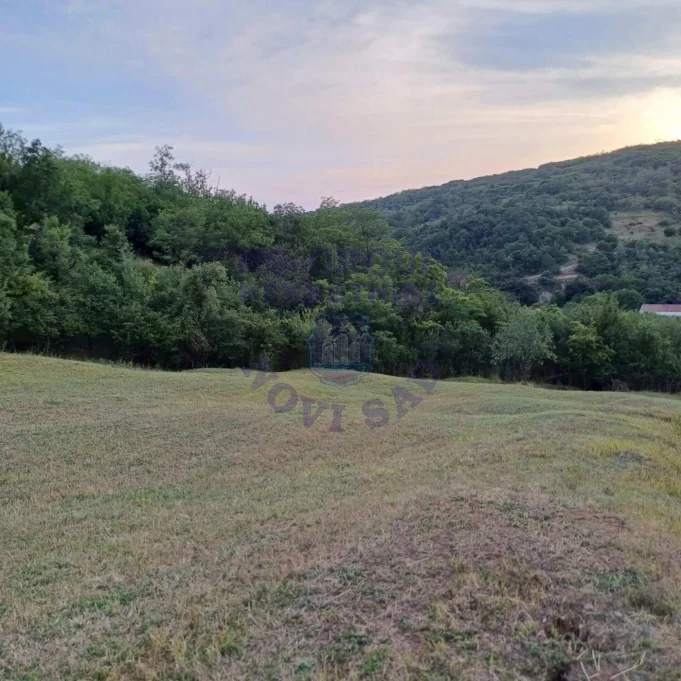Plac na prodaju Jazak 3910m2, 573681