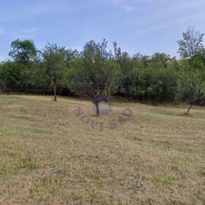 Plac na prodaju Jazak 3910m2, 573681