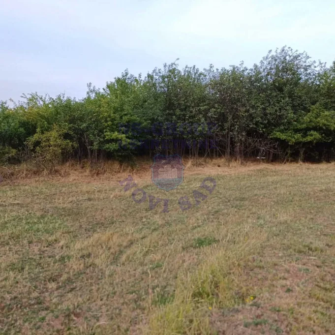 Plac na prodaju Jazak 3910m2, 573681