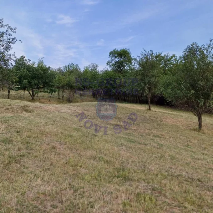 Plac na prodaju Jazak 3910m2, 573681