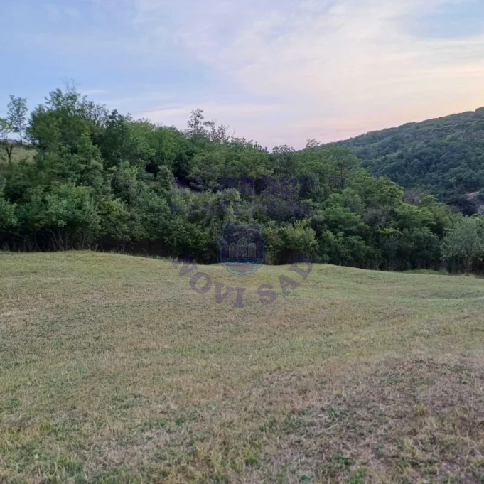 Plac na prodaju Jazak 3910m2, 573681