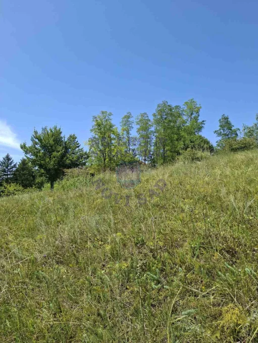 plac na prodaju Sremska Kamenica 2748m2 574656
