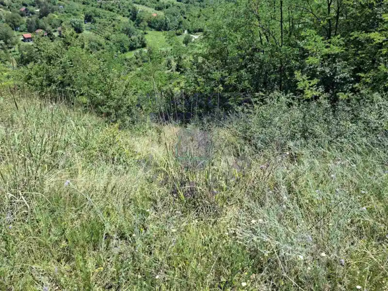 plac na prodaju Sremska Kamenica 2748m2 574656