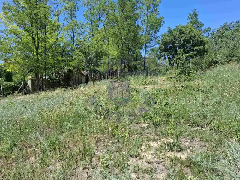 plac na prodaju Sremska Kamenica 2748m2 574656
