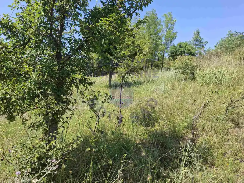 plac na prodaju Sremska Kamenica 2748m2 574656