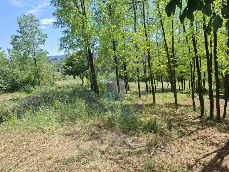 plac na prodaju Sremska Kamenica 2748m2 574656