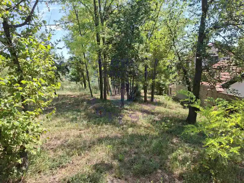 plac na prodaju Sremska Kamenica 2748m2 574656