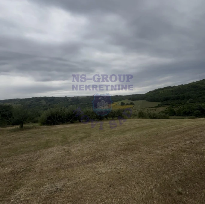 plac na prodaju Čerević 5029m2 573925