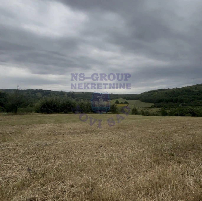 plac na prodaju Čerević 5029m2 573925