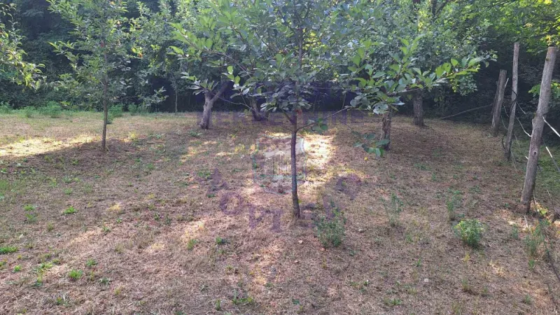 plac na prodaju Rakovac 1403m2 551519