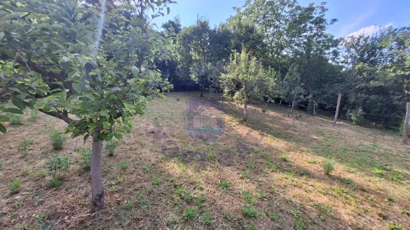 plac na prodaju Rakovac 1403m2 551519
