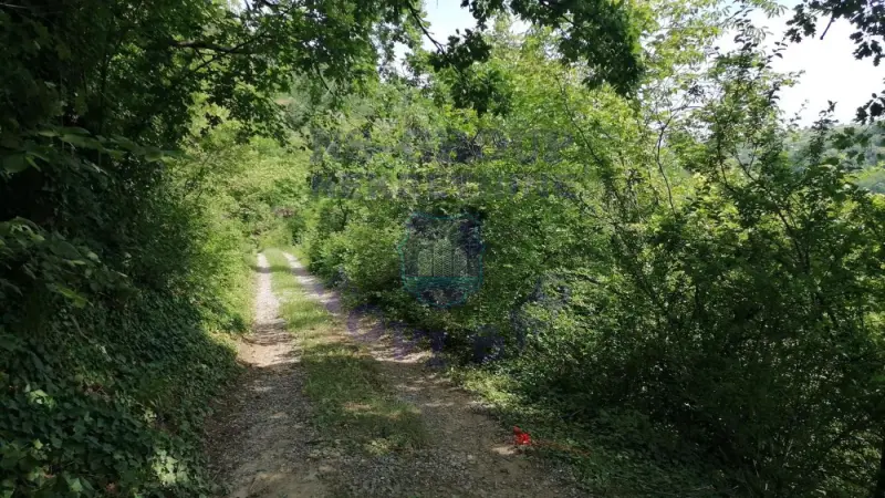 plac na prodaju Rakovac 903m2 574893