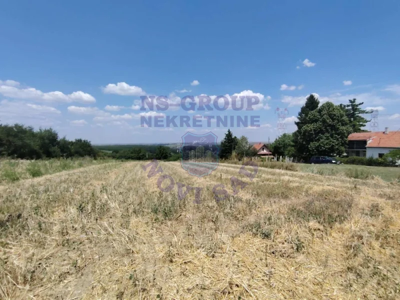 plac na prodaju Krčedin 1964m2 574904