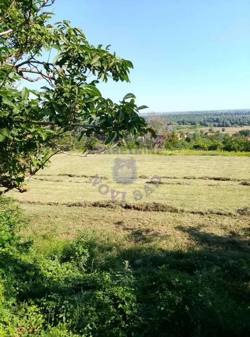 plac na prodaju Čerević 1604m2 575053