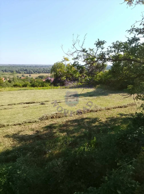 plac na prodaju Čerević 1604m2 575048