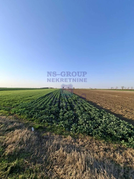 plac na prodaju Kovilj 2818m2 575020
