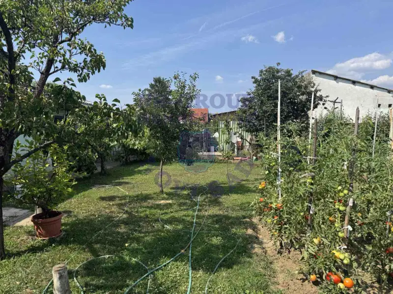 kuca na prodaju Veternik 114m2 575011