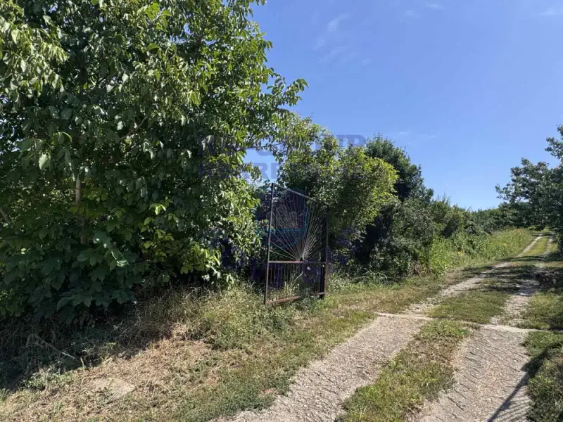 plac na prodaju Petrovaradin 5064m2 562742