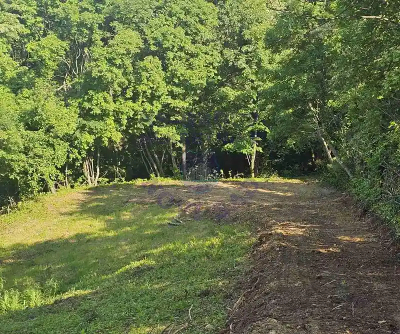 plac na prodaju Sremska Kamenica 796m2 575129
