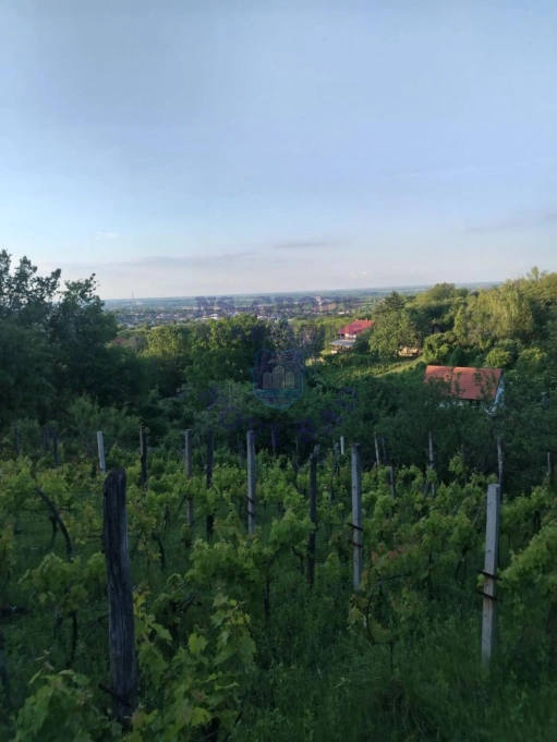 plac na prodaju Petrovaradin 739m2 575223
