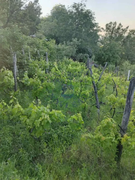 plac na prodaju Petrovaradin 739m2 575223