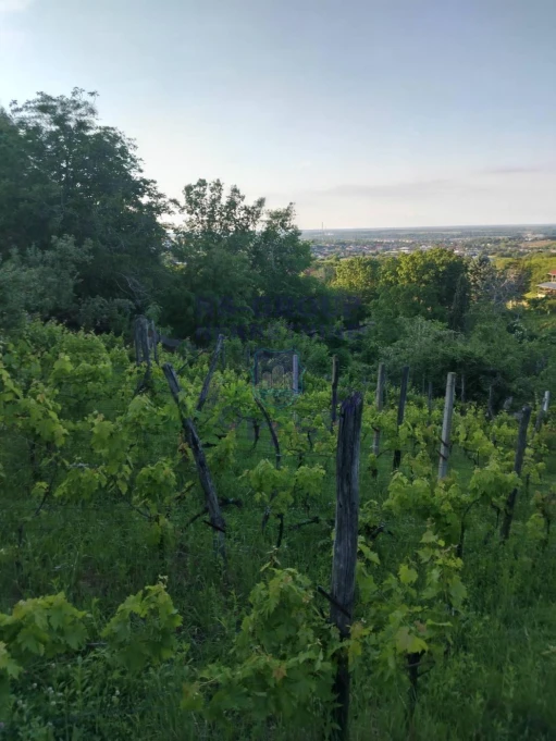 plac na prodaju Petrovaradin 739m2 575223