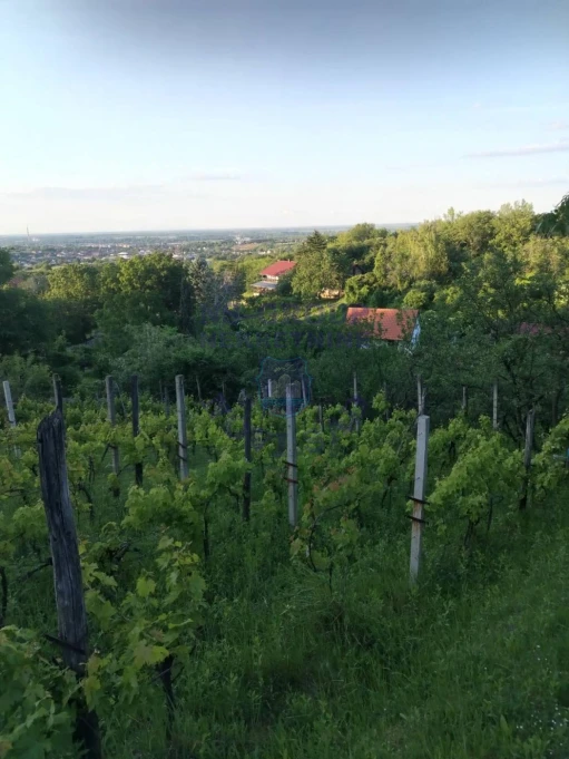plac na prodaju Petrovaradin 739m2 575223