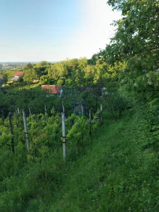 plac na prodaju Petrovaradin 739m2 575223