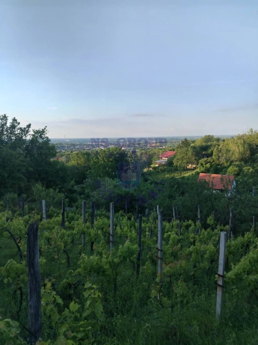plac na prodaju Petrovaradin 739m2 575223