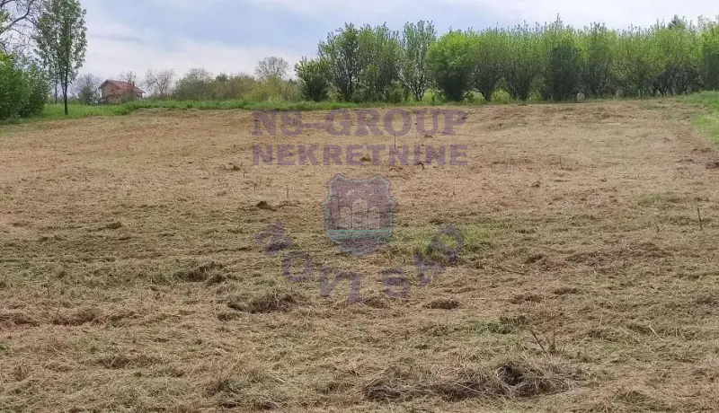 plac na prodaju Vrdnik 1928m2 575249