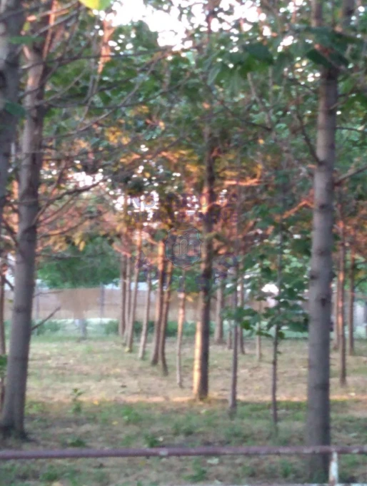 kuca na prodaju Turija 120m2 575184