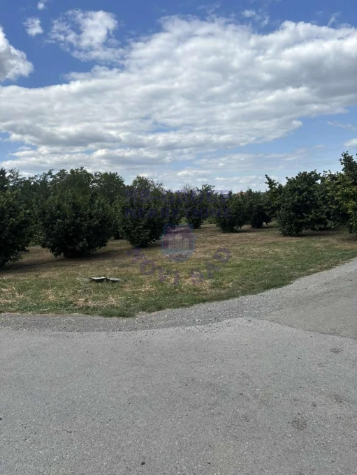 plac na prodaju Novi Sad, 4946m2 575032