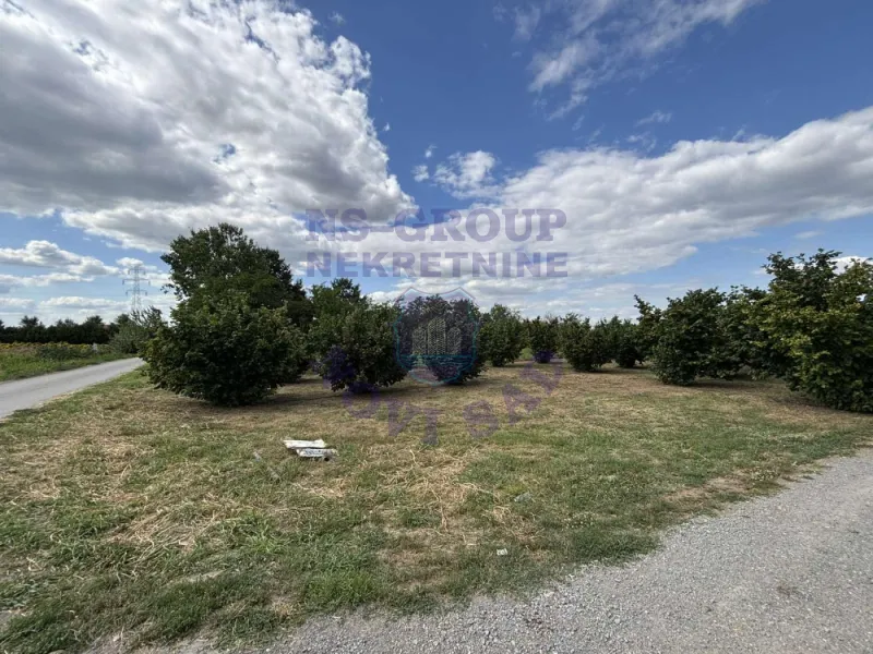 plac na prodaju Novi Sad 4946m2 575032