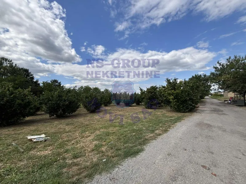 plac na prodaju Novi Sad 4946m2 575032