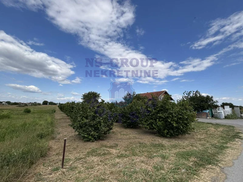 plac na prodaju Novi Sad 4946m2 575032