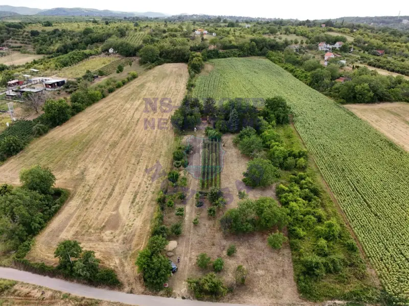 Plac na prodaju Petrovaradin 1780m2, 575164